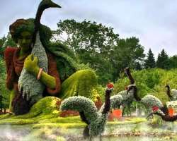 In addition to the beautiful scenario of greenery, you can also witness an awesome waterfall and astonishing figures made with plants in the garden.